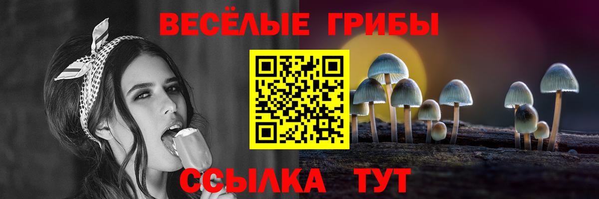 Арсеньев  Галлюциногенные грибы Cubensis  Вход с VPN 